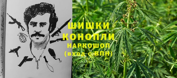 ПСИЛОЦИБИНОВЫЕ ГРИБЫ Анива